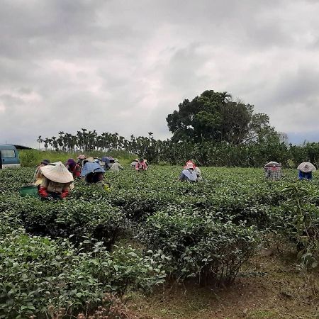 Dong Li Tea Homestay Ruisui Exteriör bild