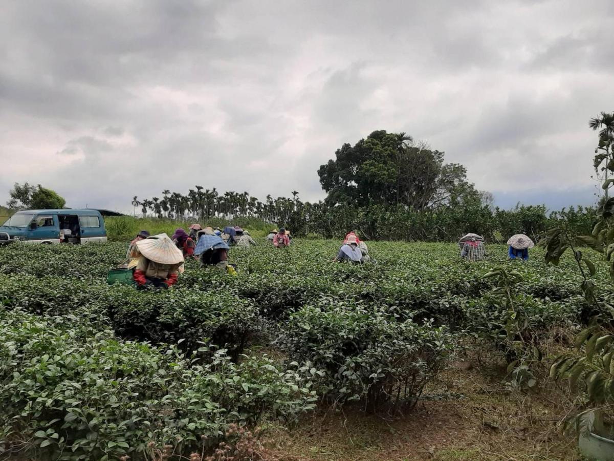 Dong Li Tea Homestay Ruisui Exteriör bild